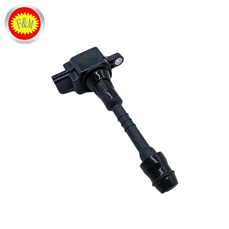 Auto Spare Parts Ignition Coil for Nissan Engine Parts 22448-6n015