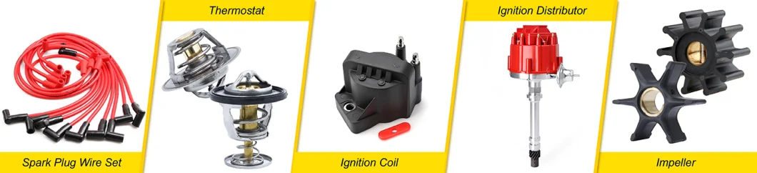 Ignition Coil Pack for Toyota Camry Lexus 90919-02243 / 90919-02244 / C1330 / UF333