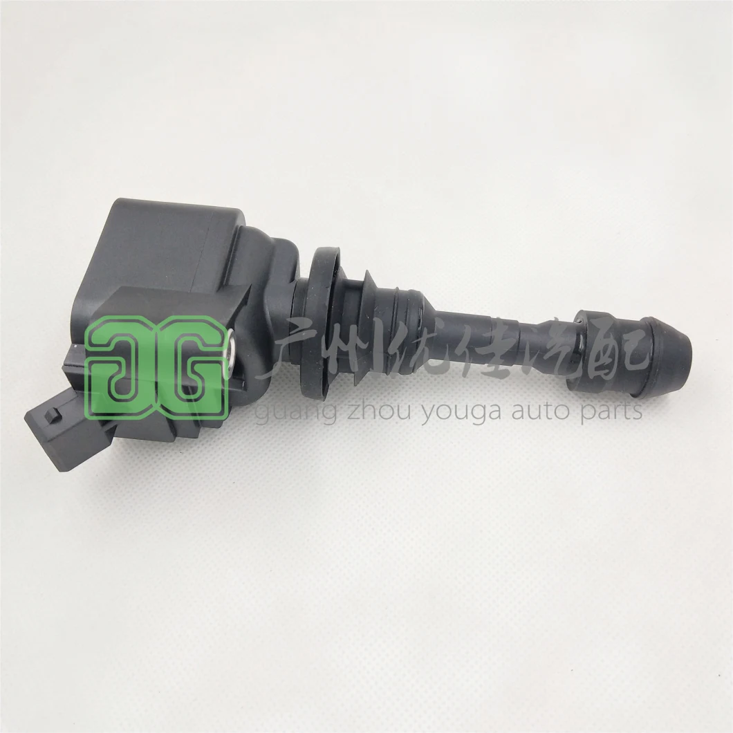 OEM Quality Ignition Coil Pw812018 A2c53283938 for VW VAG