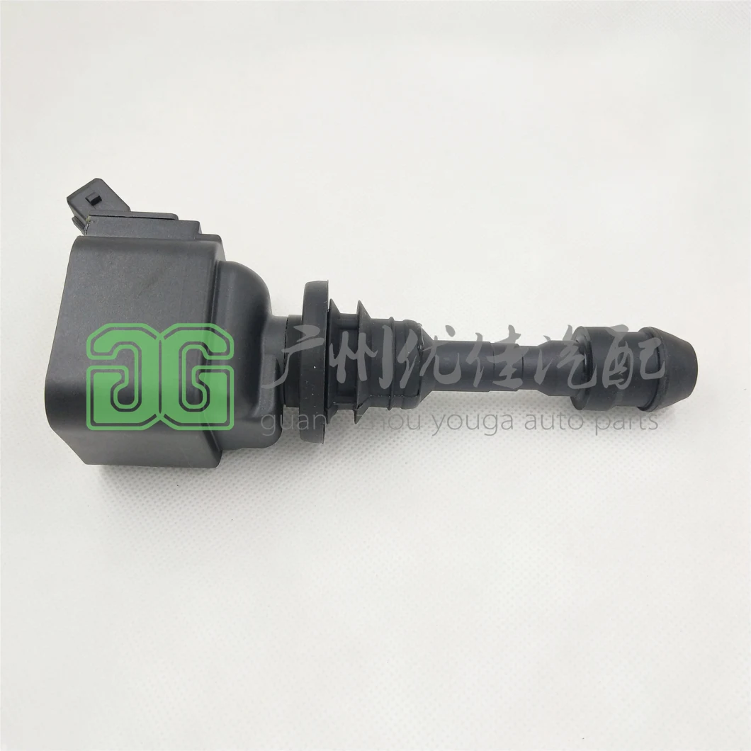 OEM Quality Ignition Coil Pw812018 A2c53283938 for VW VAG