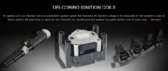 Volkswagen Phaeton for Ignition Coil 07c905115 07c905115c 07c905115D